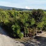 場内写真　～Ｓｕｍｍｅｒ～